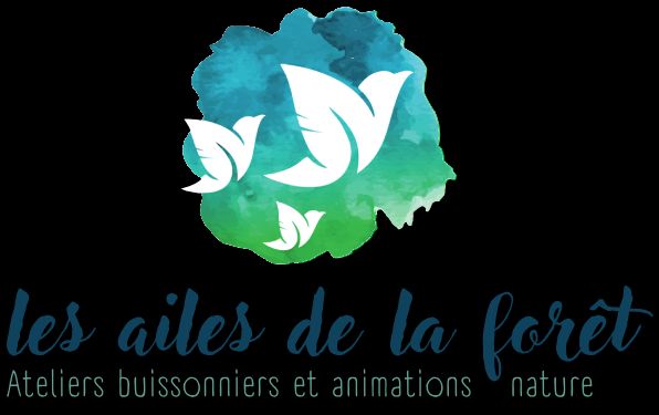 Les Ailes de la Forêt