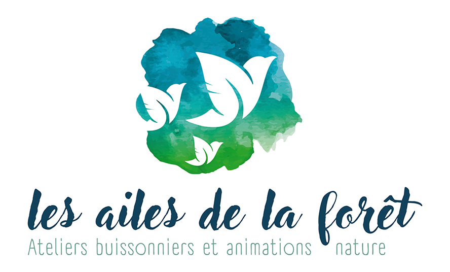 Les Ailes de la Forêt