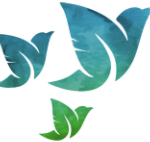 les oiseaux des ailes de la foret