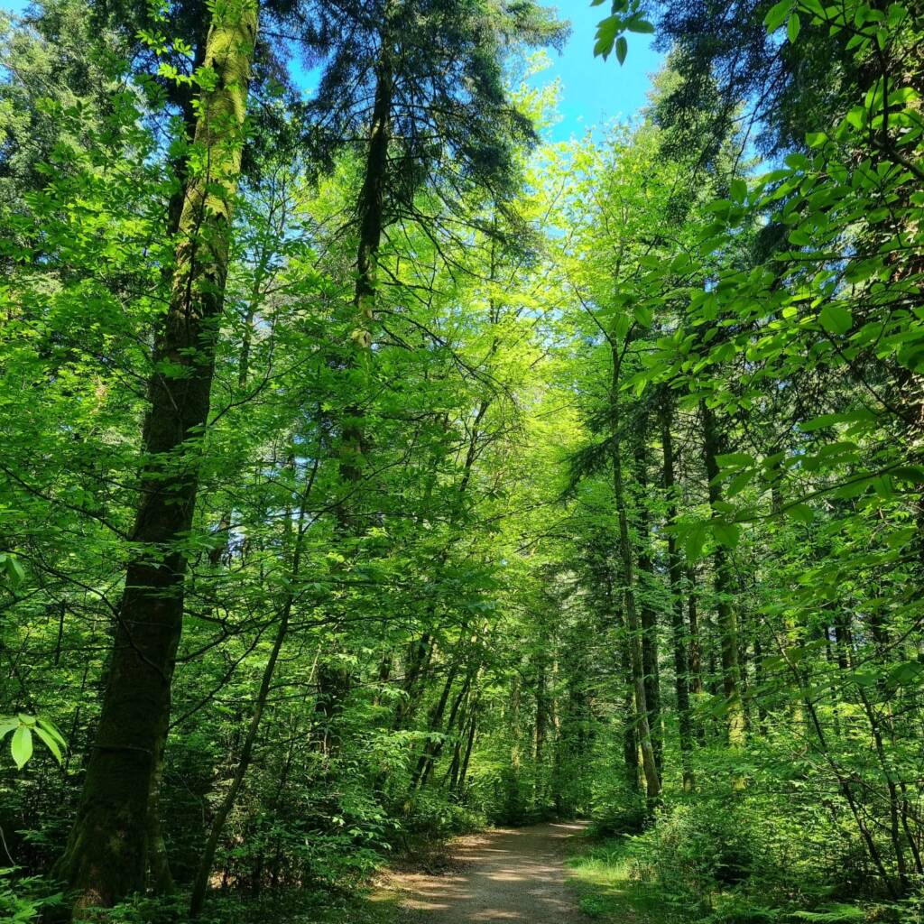 Balade sensorielle et ludique