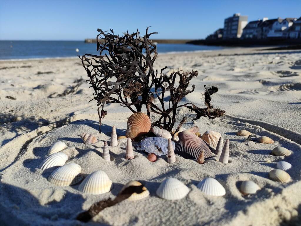 Journée à l'île aux moines