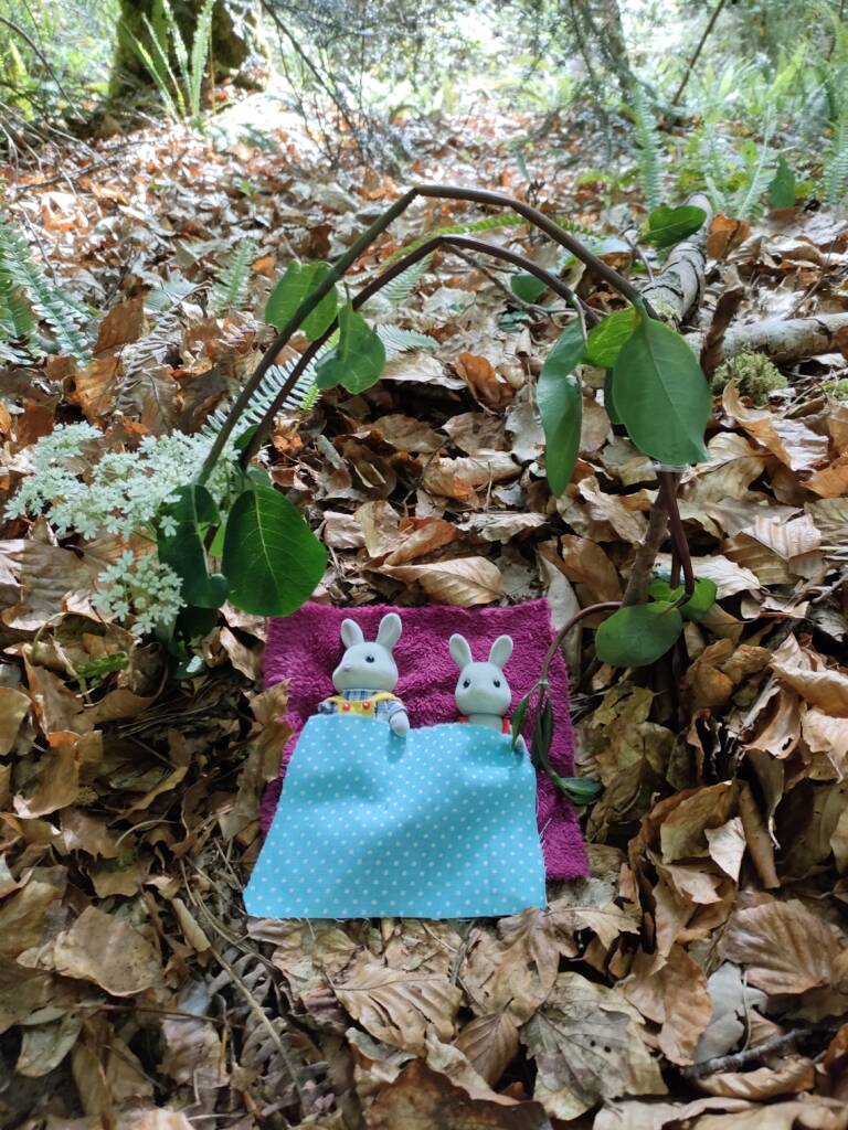 La fête des Lilliputiens